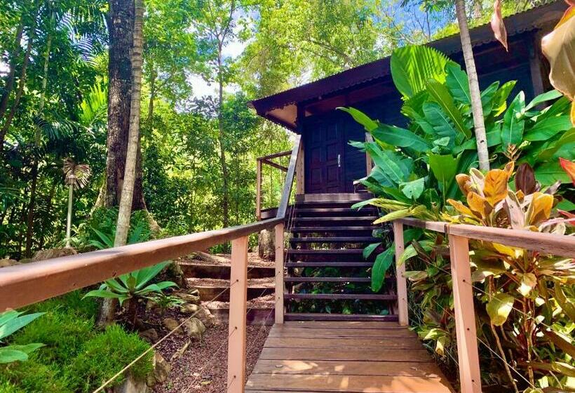 수피리어 룸, Cairns Rainforest Retreat