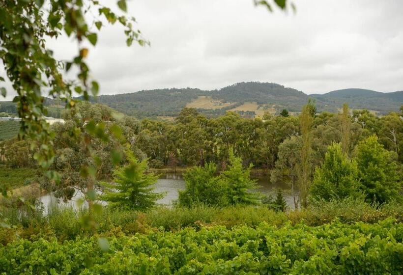کابین, Borrodell Vineyard