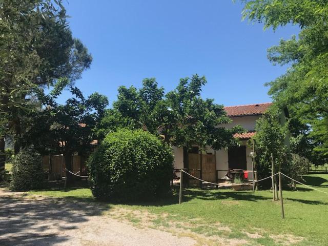 Номер Стандарт, Fattoria Il Duchesco