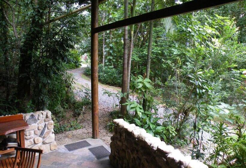 오두막, Epiphyte B & B