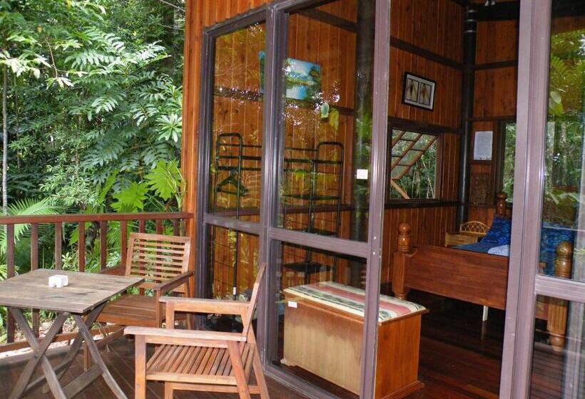 오두막, Epiphyte B & B