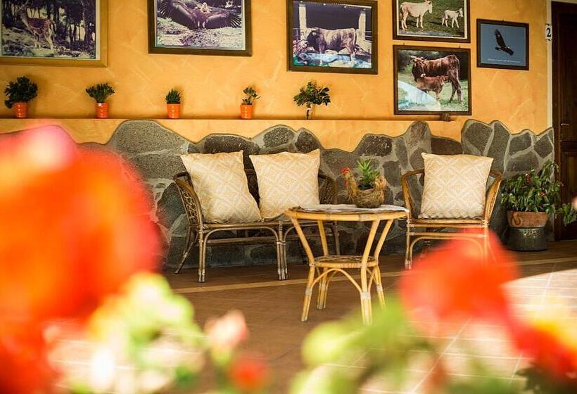 Номер Стандарт, Agriturismo Barbagia