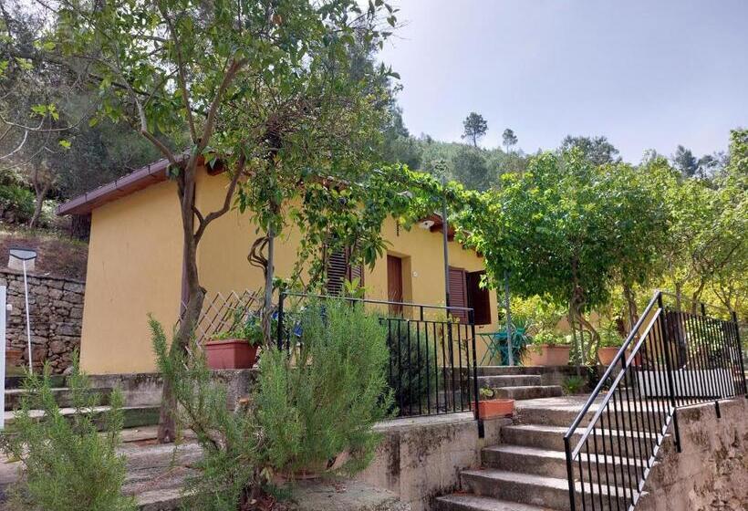 اتاق لوکس, Terme Acqua Pia