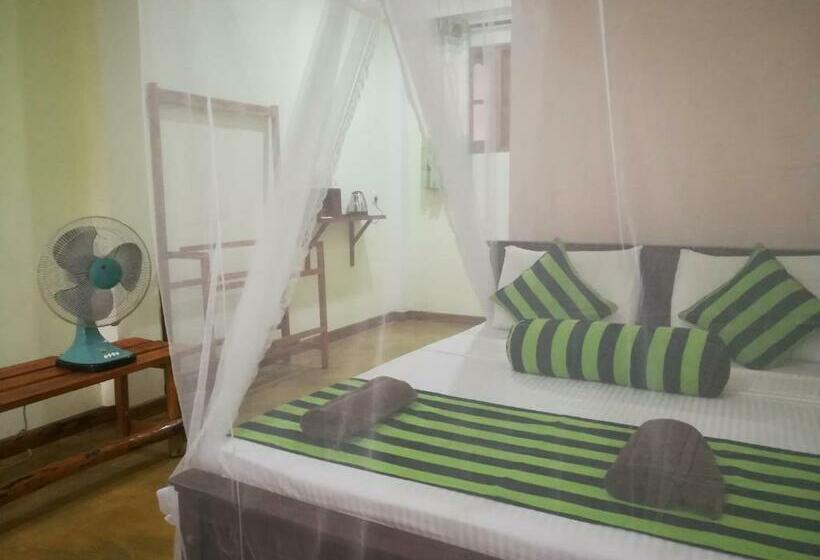 Quarto Estandar, Dinaro Guest