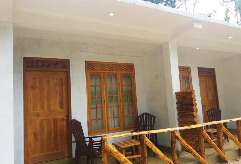 Quarto Estandar, Dinaro Guest