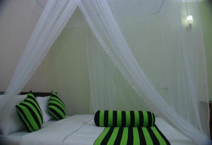Quarto Estandar, Dinaro Guest