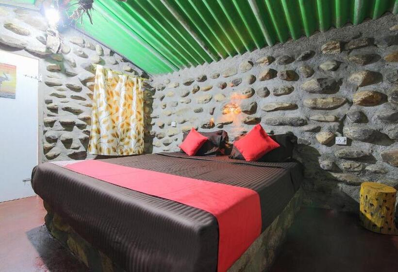 标准间, Jungle Book Resort