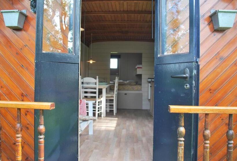 Номер Стандарт, Logement Doosje