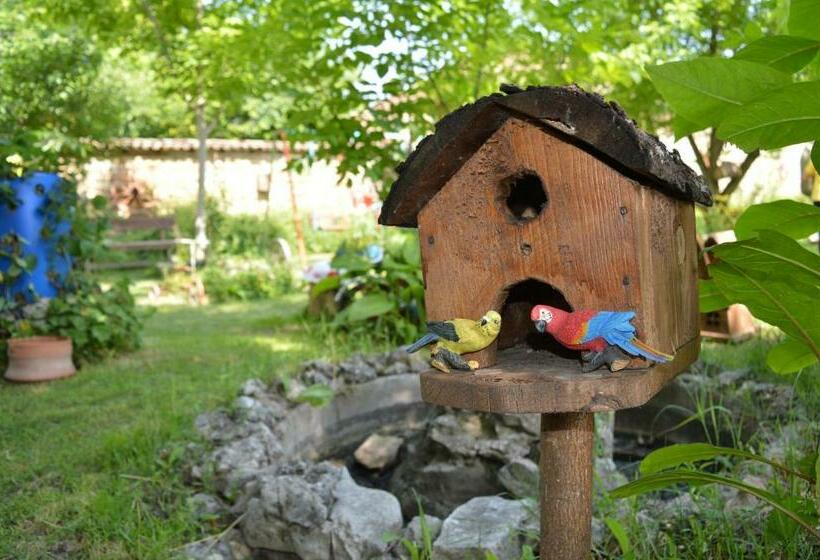 스탠다드 룸, The Old House Guest House