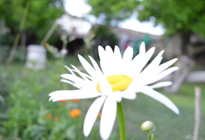 스탠다드 룸, The Old House Guest House