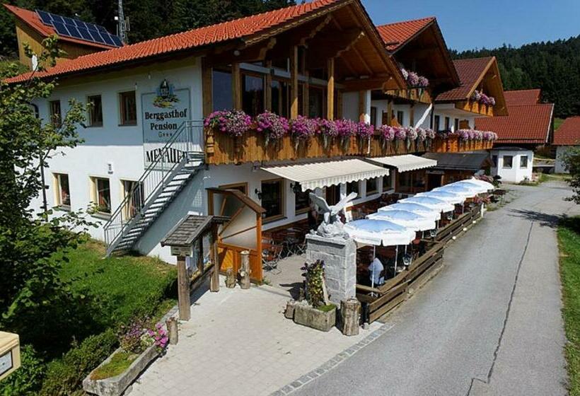 Номер Стандарт, Berggasthof Pension Seminar  Und Tagungshaus Menauer