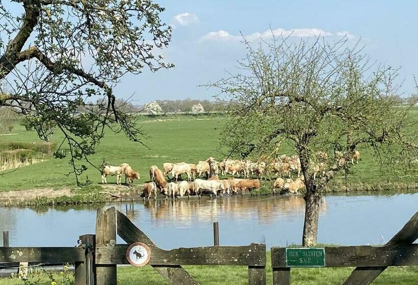 Люкс, De Os En Het Paard
