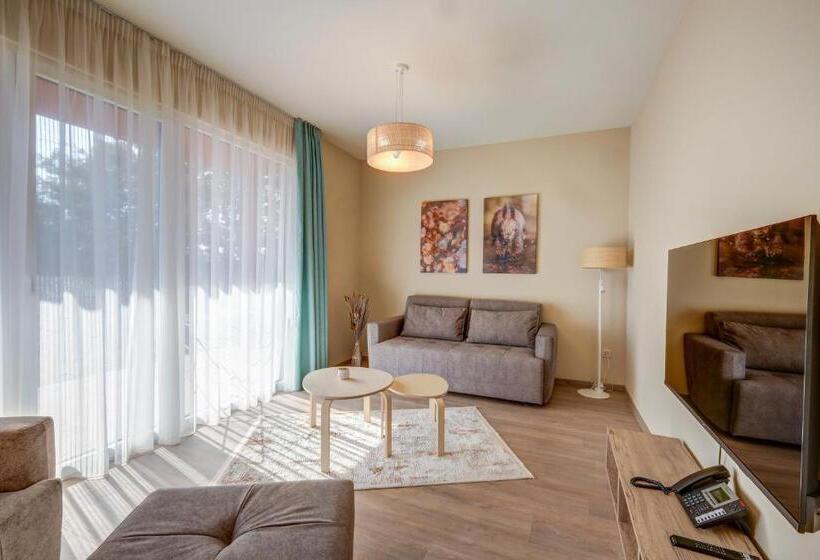 Апартаменты Deluxe 1 Спальня, Eco Complex Zdravets
