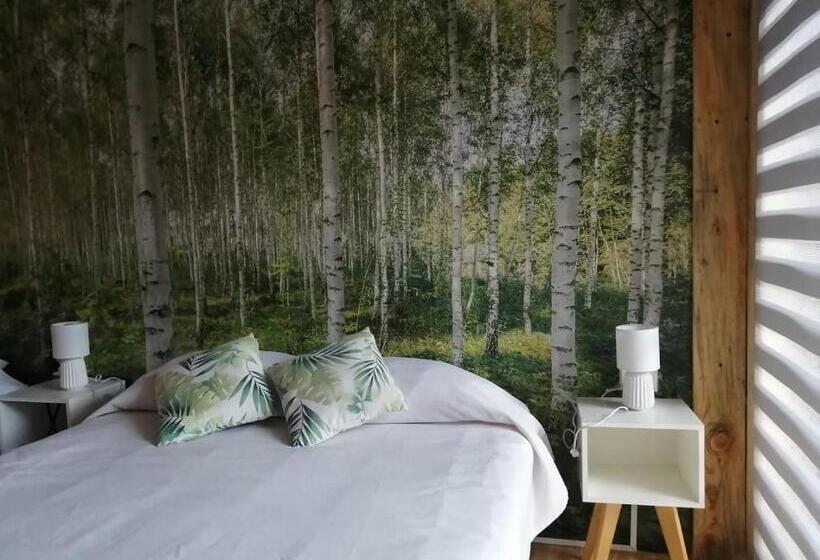 غرفة قياسية, Lodge Los Bosques