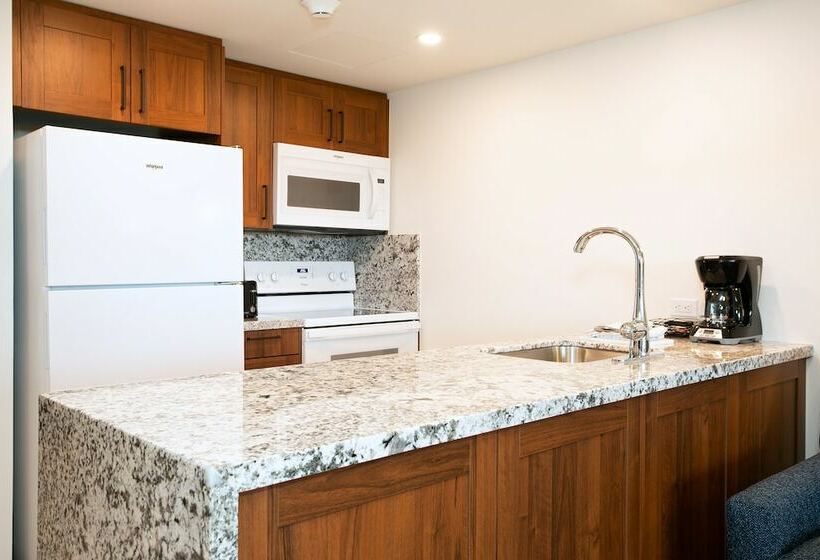 Estudio Estándar Cama King, Hilton Vacation Club Flamingo Beach St. Maarten