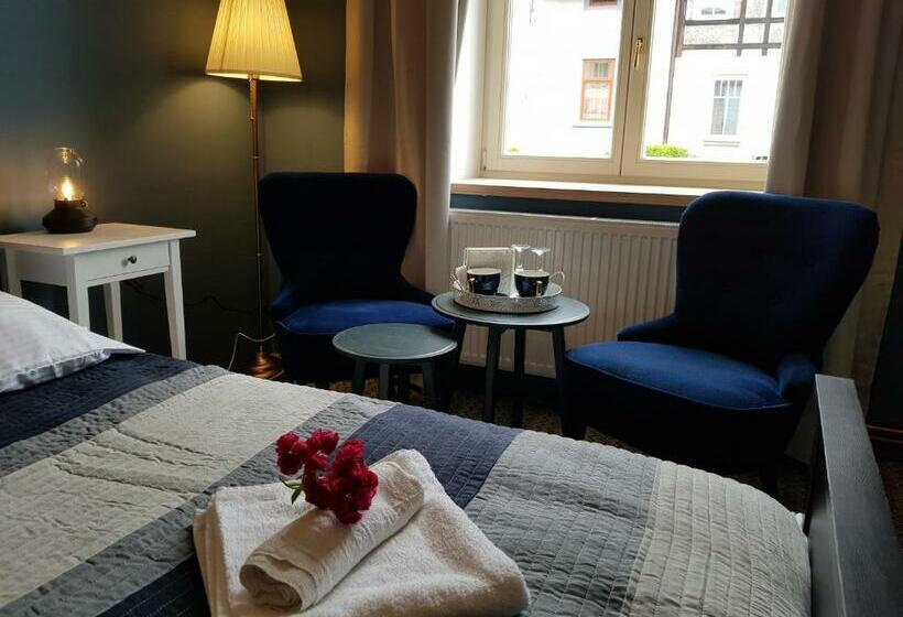 デラックスルーム, Vila Janáčkova   1st Republic Villa