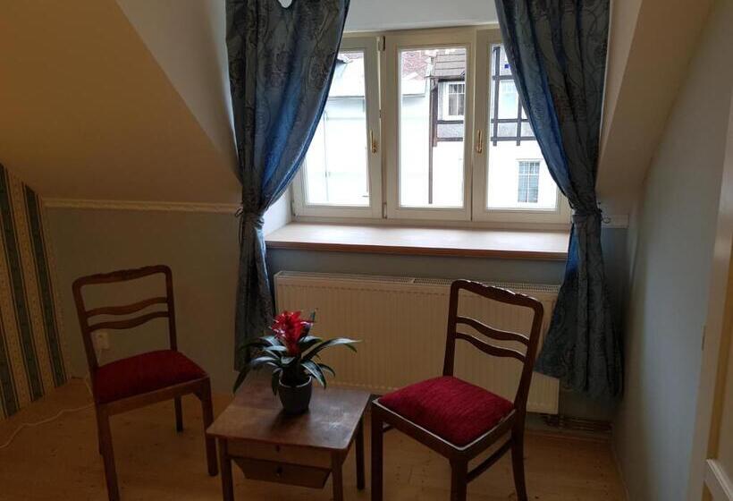 스탠다드 룸, Vila Janáčkova   1st Republic Villa