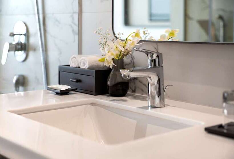 Номер Deluxe, Radisson Blu Mbd Hotel Noida
