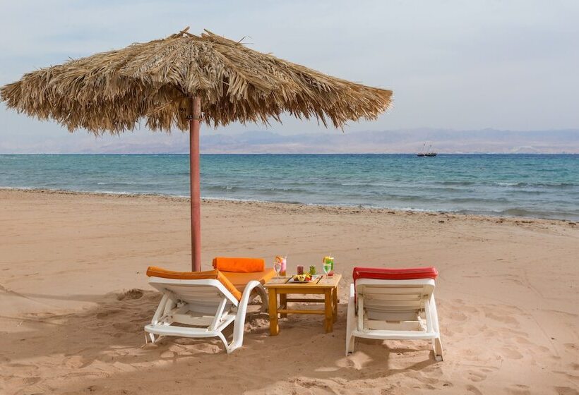 اتاق استاندارد با چشم‌انداز دریا, Strand Beach Resort