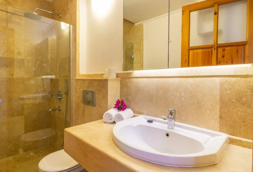 آپارتمان 1 خوابه با چشم‌انداز باغ, Korsan Apartments