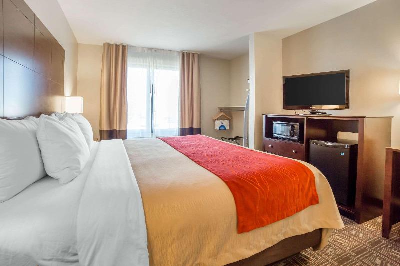 스탠다드 룸 킹사이즈 침대, Courtyard By Marriott Warsaw Airport