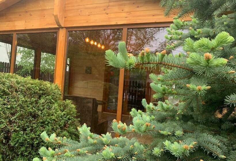 シャレー1寝室, Chalet Milenium Residence Bran