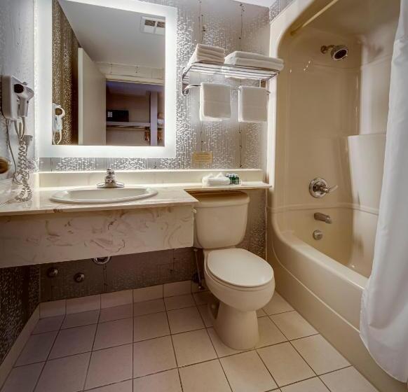 Номер Стандарт, Monte Carlo Inn Markham