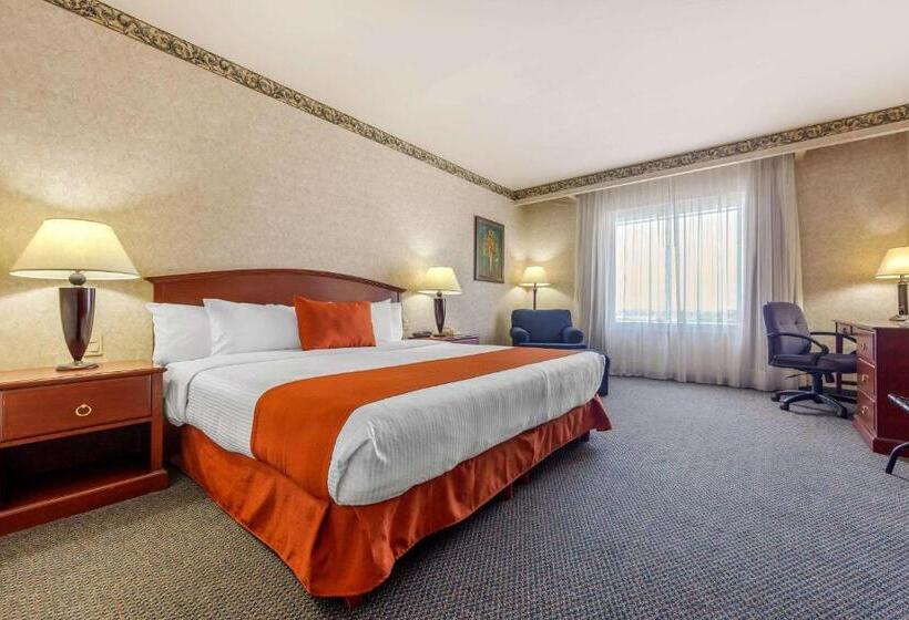 キングサイズベッドのスタンダードルーム, Quality Inn Monterrey La Fe