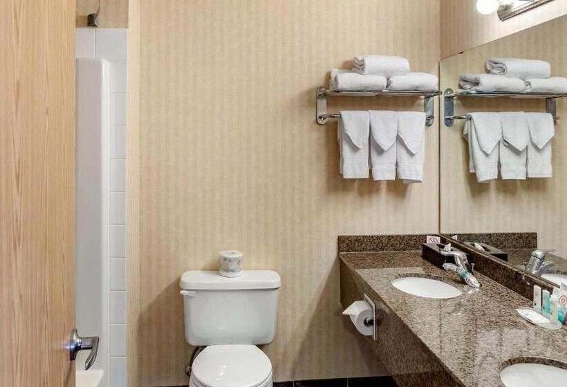 スタンダードルーム, Quality Inn & Suites Edmonton International Airport