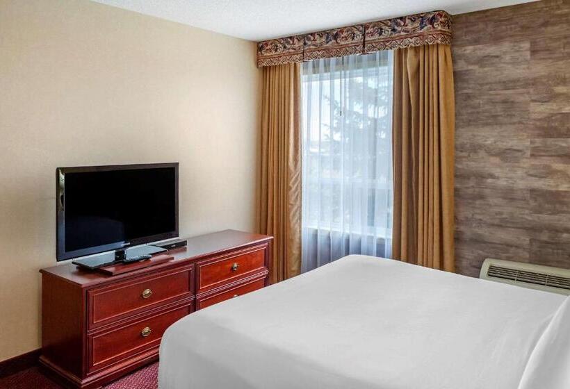 キングサイズベッドのスタンダードルーム, Quality Inn & Suites Edmonton International Airport