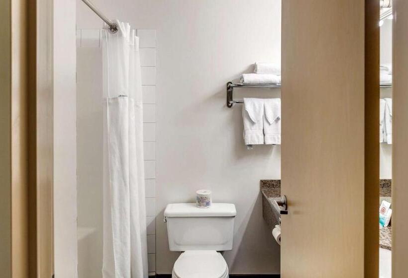 スタンダードルーム, Quality Inn & Suites Edmonton International Airport