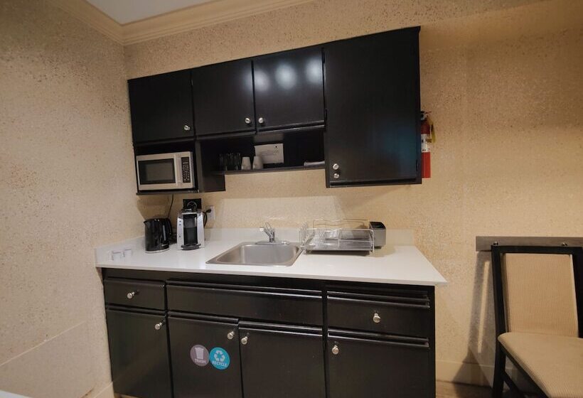 带1个卧室的带阳台的公寓, Divya Sutra Suites On Robson Downtown Vancouver