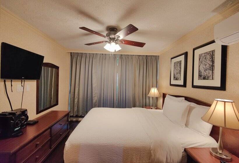 带1个卧室的公寓, Divya Sutra Suites On Robson Downtown Vancouver
