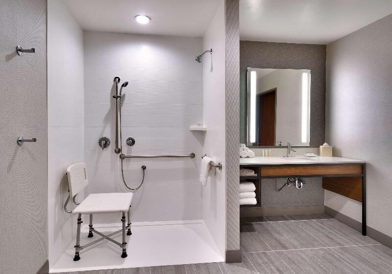 Номер Стандарт Кровать Кинг Адаптированный для Инвалидов, Hilton Garden Inn Prescott Downtown