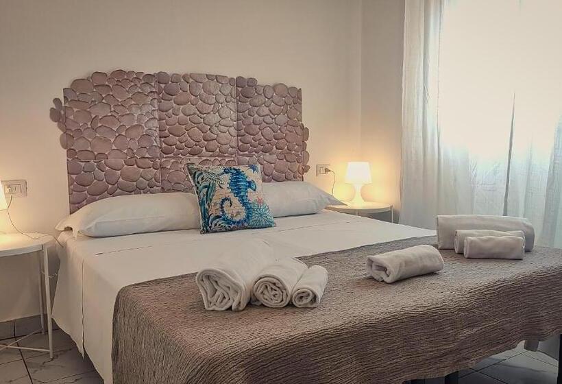 اتاق استاندارد, Hippocampus B&b