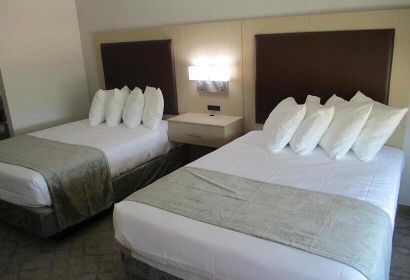 Номер Стандарт Адаптированный для Инвалидов, Best Western Plus Chickasha Inn