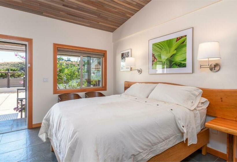 스탠다드 룸, Wildflower Boutique Motel