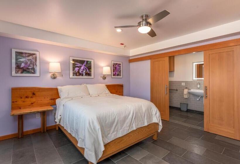 장애인을 위한 스탠다드 룸, Wildflower Boutique Motel