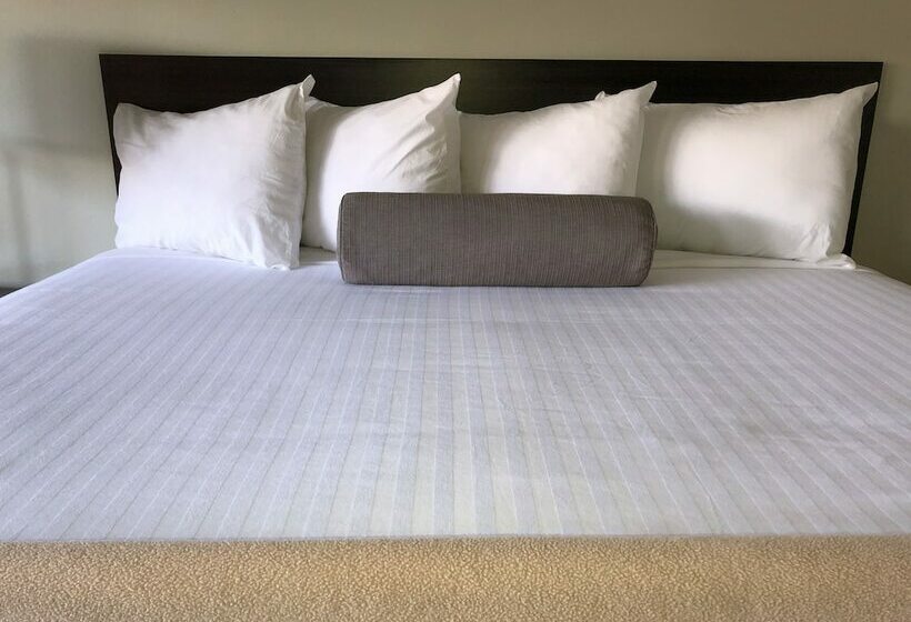 장애인용 디럭스룸, Elevation Lodge