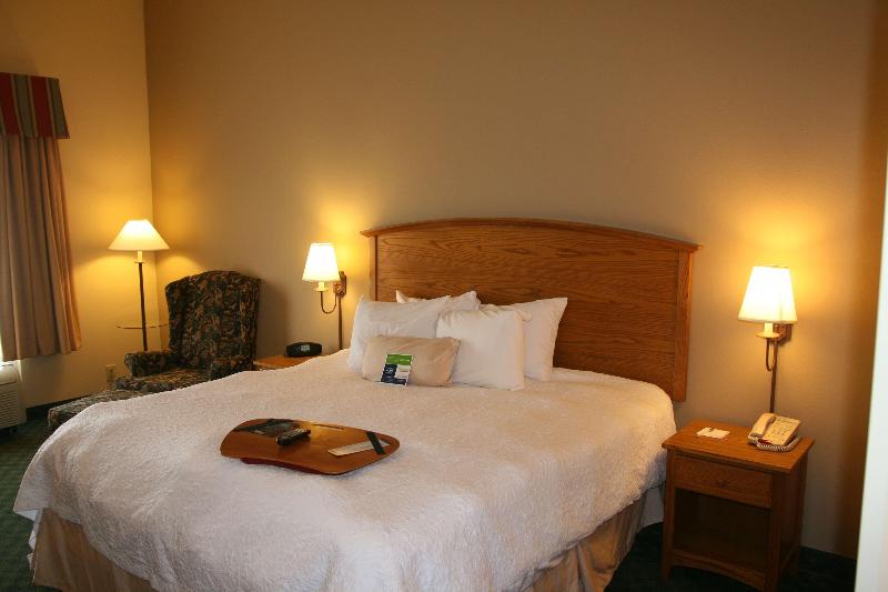 스탠다드 룸 킹사이즈 침대, Hampton Inn Guntersville