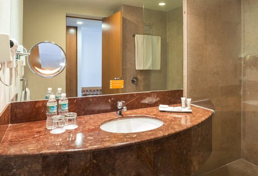 デラックスルーム, Real Inn Torreón