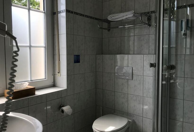 Номер Deluxe, Privathotel Riesenbeck