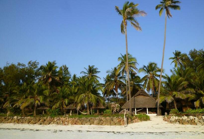 スタンダードバンガロー, Paradise Beach Bungalows