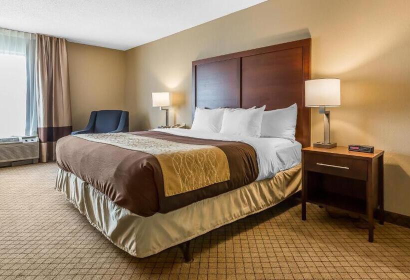 스탠다드 룸 킹사이즈 침대, Comfort Inn & Suites Mishawakasouth Bend