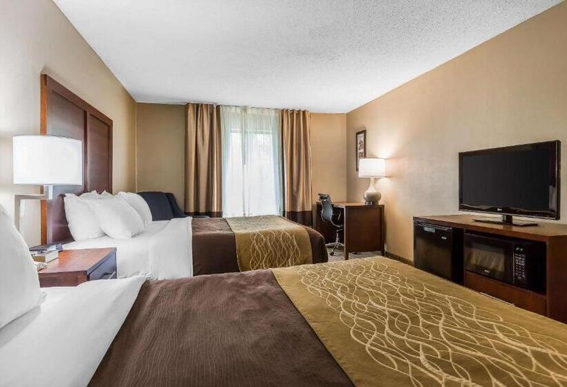 스탠다드 룸, Comfort Inn & Suites Mishawakasouth Bend