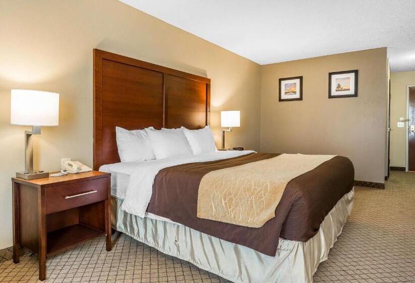 장애인을 위한 킹사이즈 침대 스탠다드 룸, Comfort Inn & Suites Mishawakasouth Bend