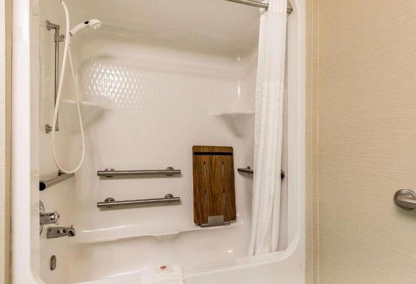 장애인을 위한 스탠다드 룸, Comfort Inn & Suites Mishawakasouth Bend