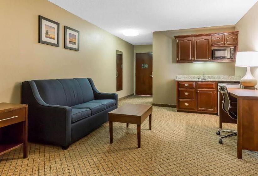 스위트 킹사이즈 침대, Comfort Inn & Suites Mishawakasouth Bend