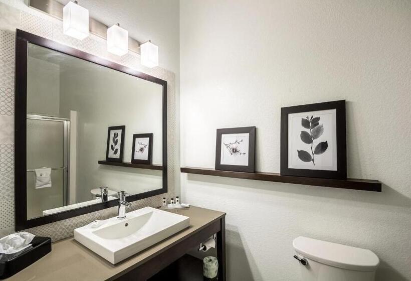 Люкс Кровать Кинг, Country Inn & Suites By Radisson, Fond Du Lac, Wi