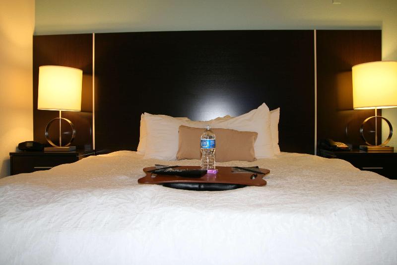 스탠다드 룸 킹사이즈 침대, Hampton Inn Shreveport Airport